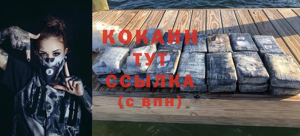 индика Балабаново
