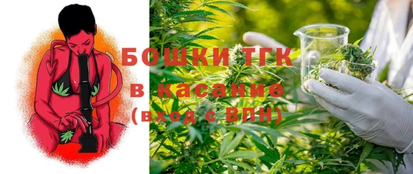 индика Балабаново
