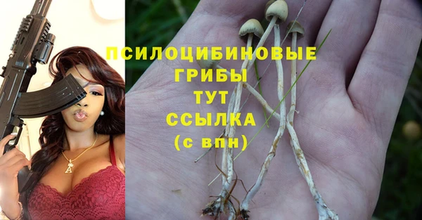 индика Балабаново
