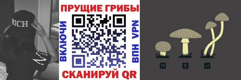 Псилоцибиновые грибы мухоморы  Татарск 